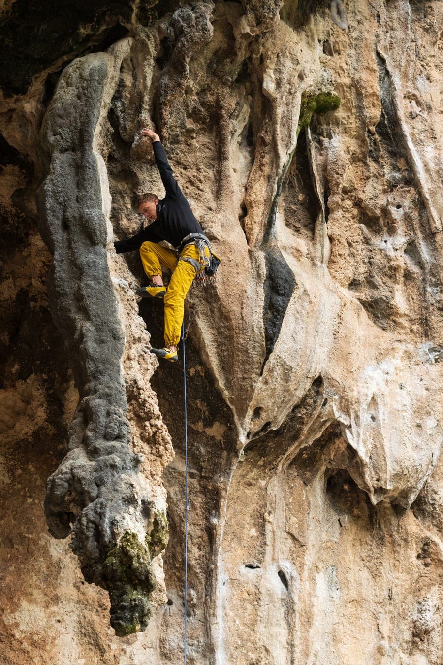 Lead climber on a limestone wall